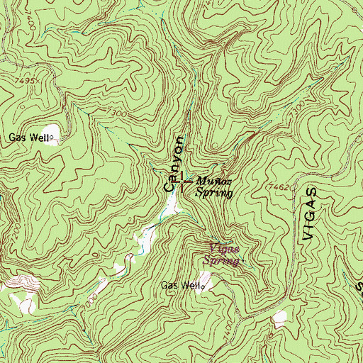 Topographic Map of Muoz Spring, NM