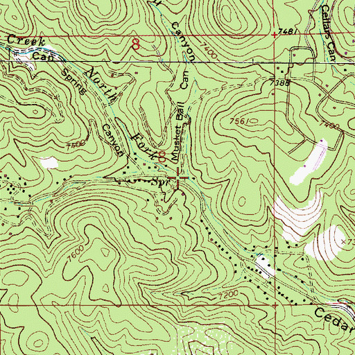 Topographic Map of Musket Ball Canyon, NM