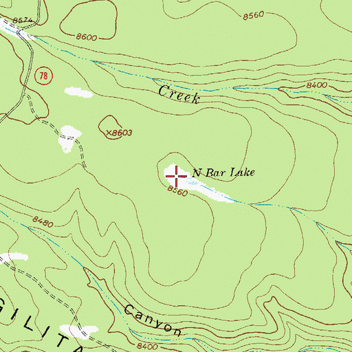 Topographic Map of N Bar Lake, NM