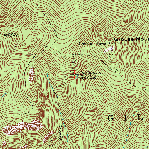 Topographic Map of Nabours Spring, NM