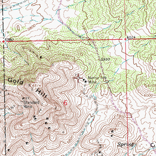 Topographic Map of Nancy Lee Mine, NM