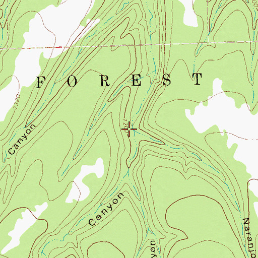 Topographic Map of Naranjo Canyon, NM