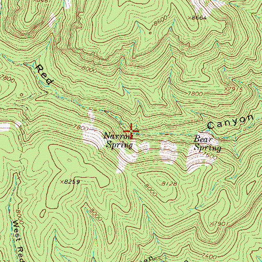 Topographic Map of Narrow Spring, NM