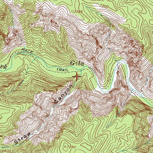 Topographic Map of Nat Straw Canyon, NM