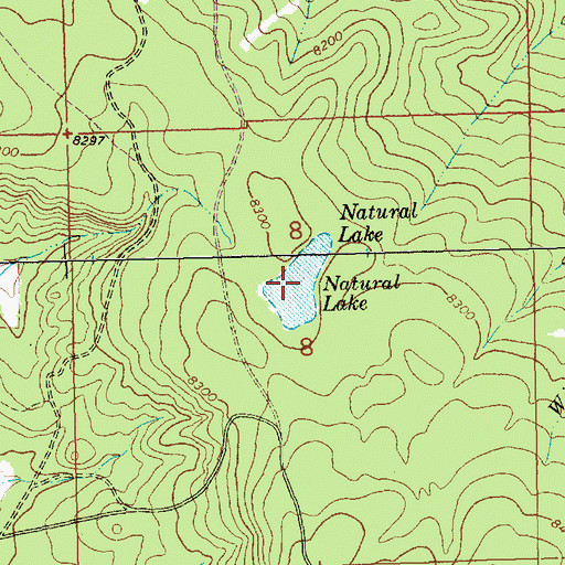 Topographic Map of Natural Lake, NM