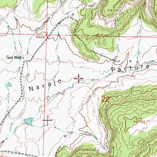 Topographic Map of Navajo Pasture, NM