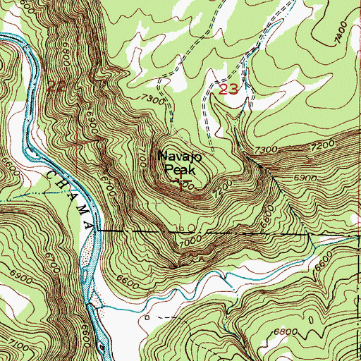Topographic Map of Navajo Peak, NM