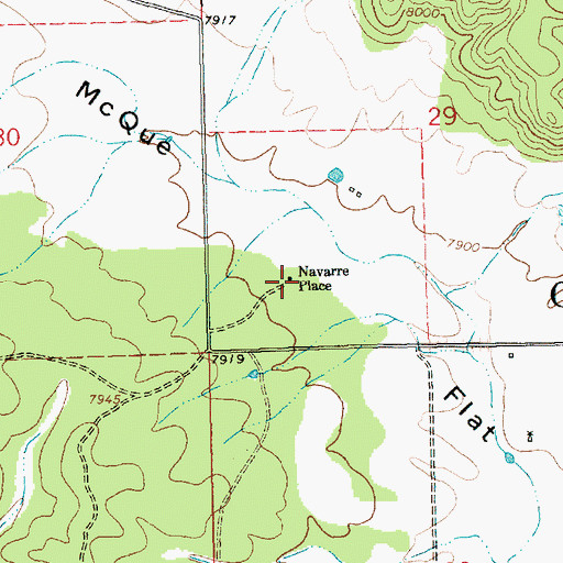 Topographic Map of Navarre Place, NM