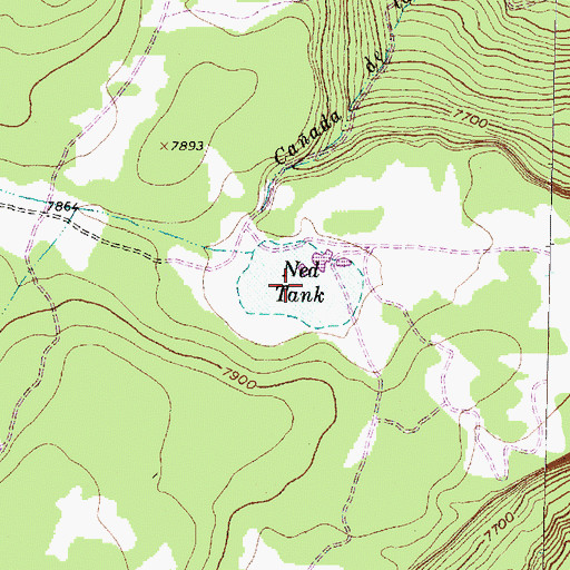 Topographic Map of Ned Tank, NM