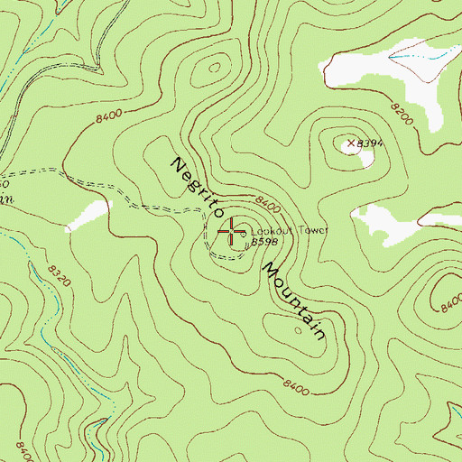 Topographic Map of Negrito Mountain, NM
