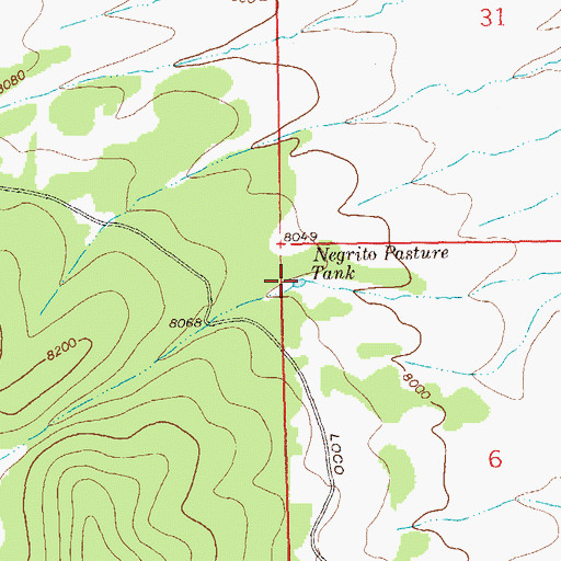 Topographic Map of Negrito Pasture Tank, NM