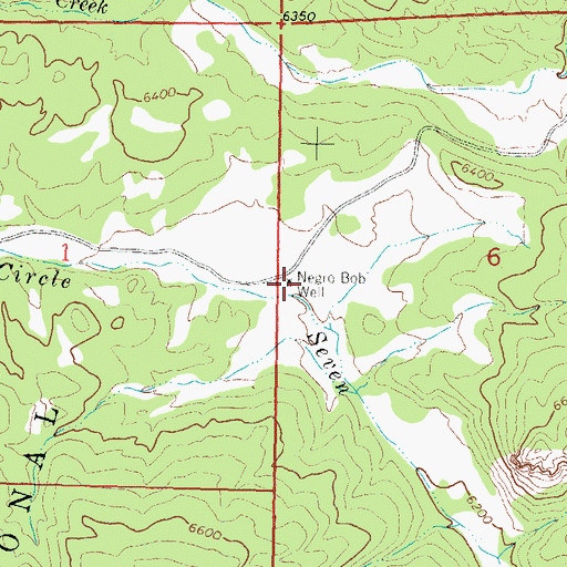 Topographic Map of Negro Bob Well, NM