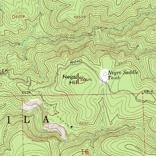 Topographic Map of Negro Hill, NM