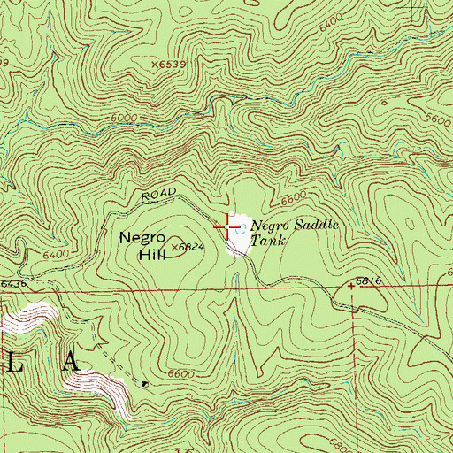 Topographic Map of Negro Saddle Tank, NM