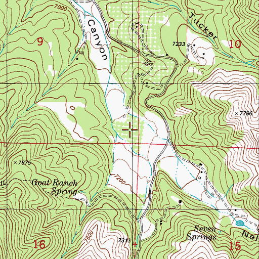 Topographic Map of Nelson Canyon, NM