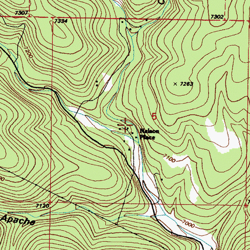 Topographic Map of Nelson Place, NM
