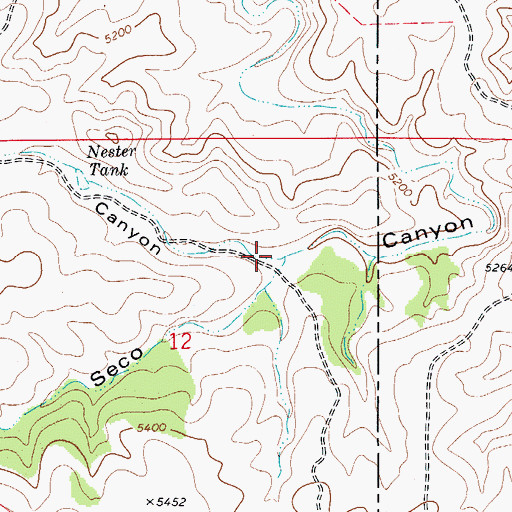 Topographic Map of Nester Canyon, NM