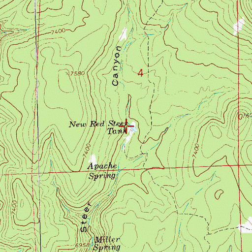 Topographic Map of New Red Steer Tank, NM