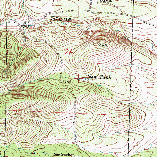 Topographic Map of New Tank, NM