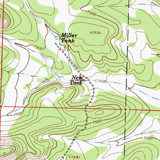 Topographic Map of New Tank, NM
