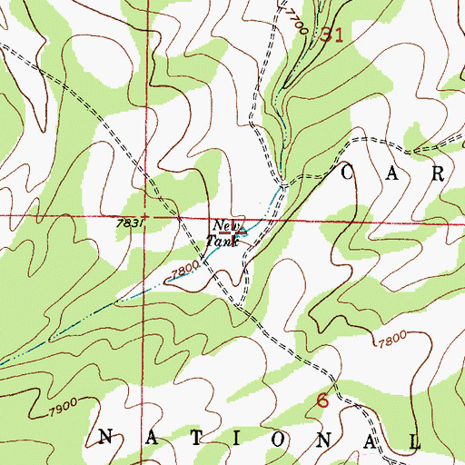 Topographic Map of New Tank, NM