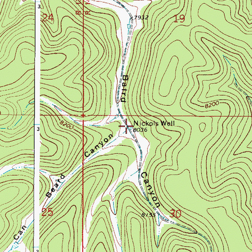 Topographic Map of Nickols Well, NM