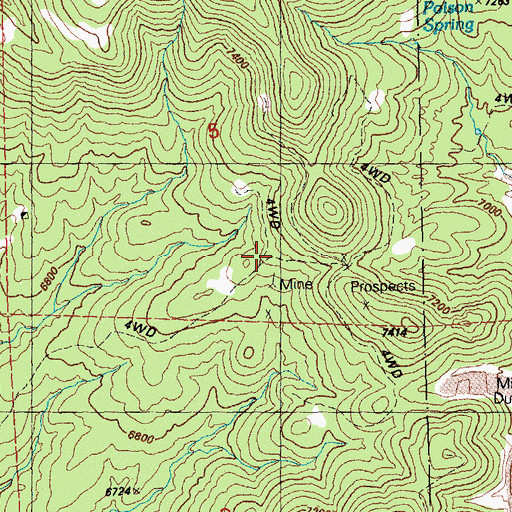 Topographic Map of Negro Shack Mine, NM
