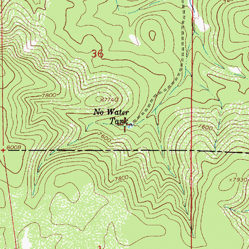 Topographic Map of No Water Tank, NM