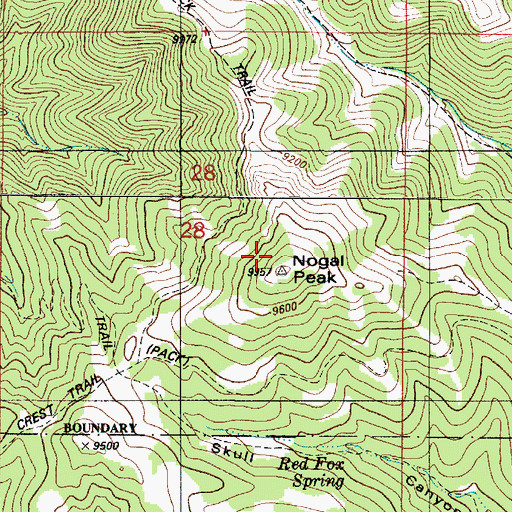 Topographic Map of Nogal Peak, NM
