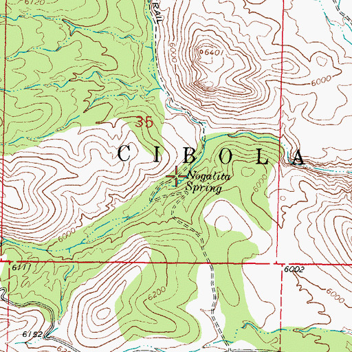 Topographic Map of Nogalita Spring, NM