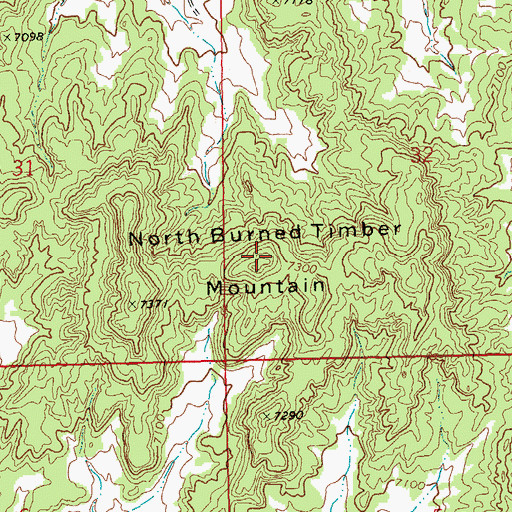 Topographic Map of North Burned Timber Mountain, NM
