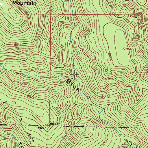 Topographic Map of North Fork Blue Canyon, NM