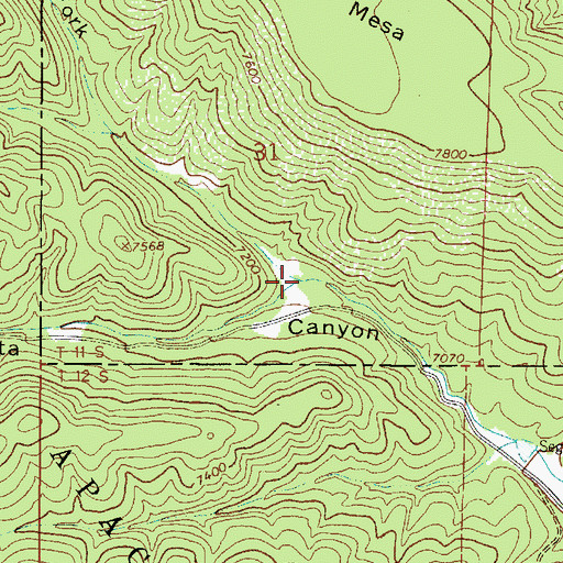 Topographic Map of North Fork Cienegita Canyon, NM