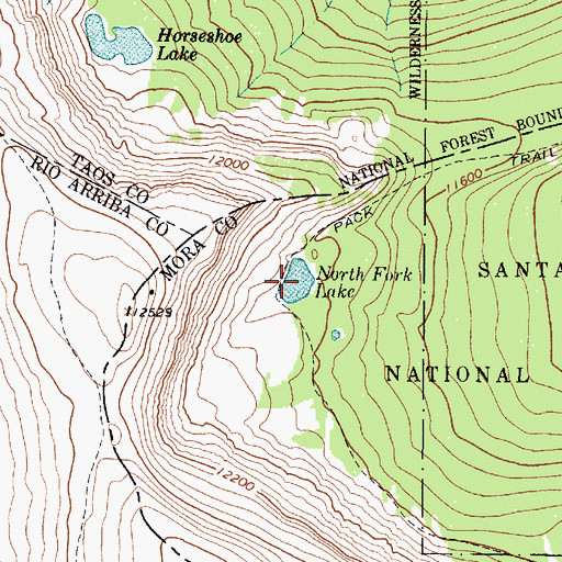 Topographic Map of North Fork Lake, NM