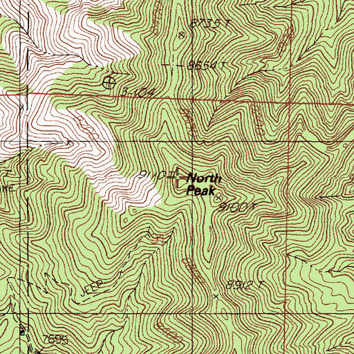 Topographic Map of North Peak, NM