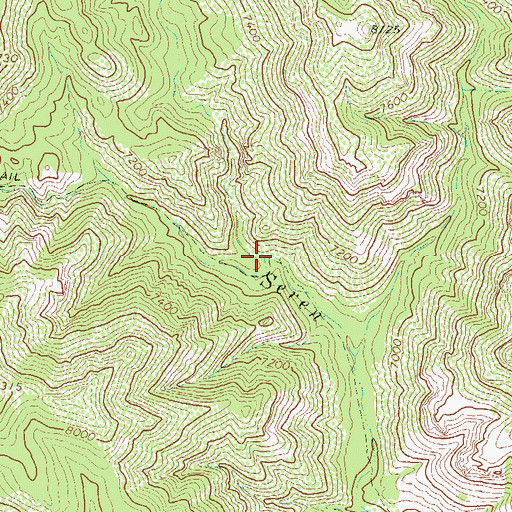 Topographic Map of North Prong Circle Seven Creek, NM