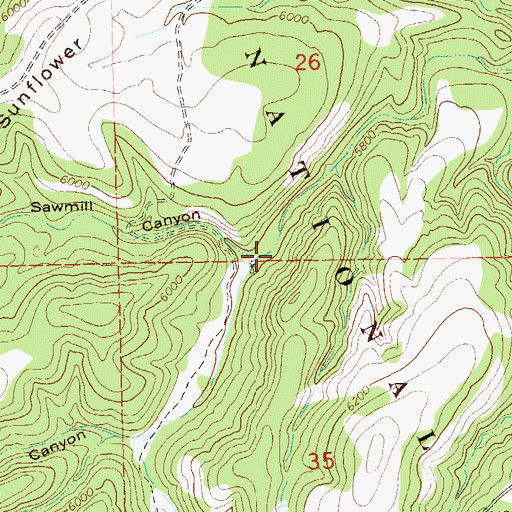 Topographic Map of North Sawmill Canyon, NM