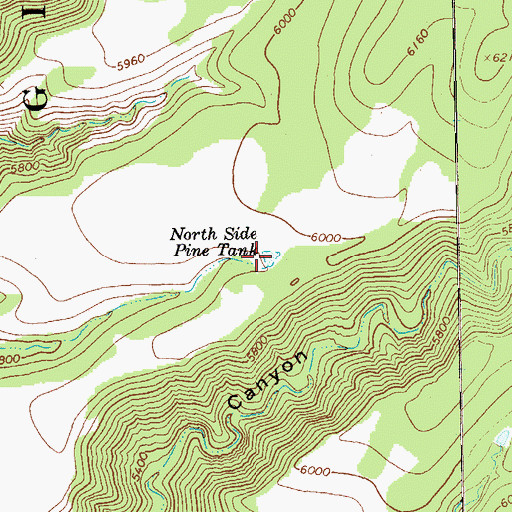 Topographic Map of North Side Pine Tank, NM