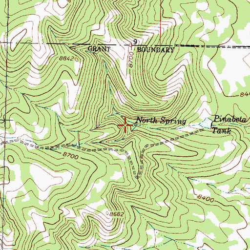 Topographic Map of North Spring, NM