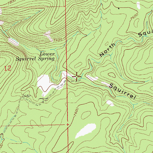 Topographic Map of North Squirrel Springs Canyon, NM