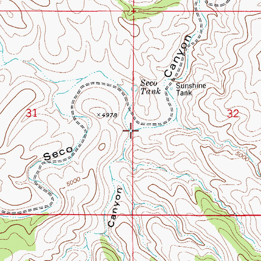 Topographic Map of North Texas Hill Canyon, NM