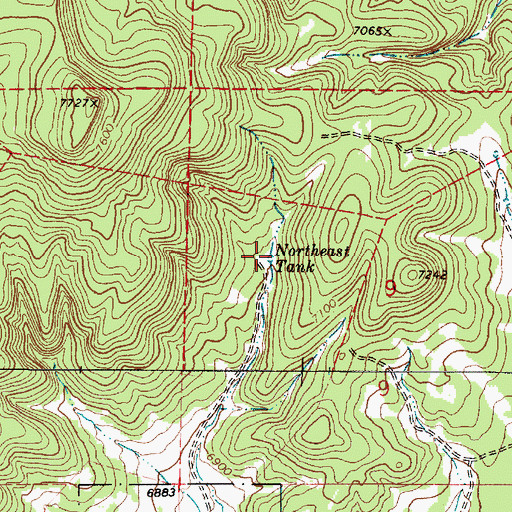 Topographic Map of Northeast Tank, NM