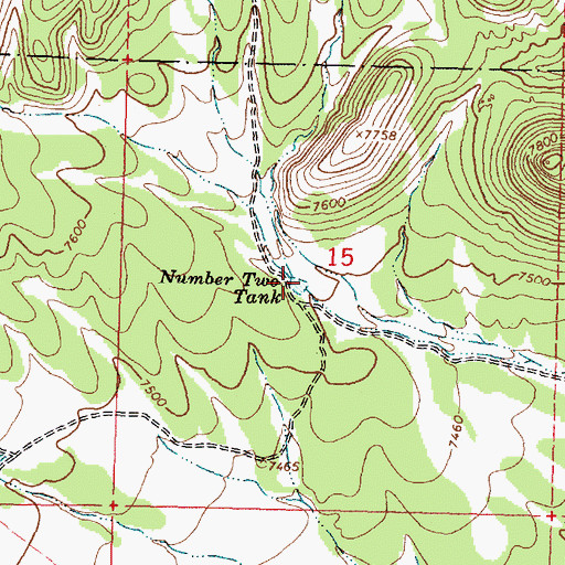 Topographic Map of Number Two Tank, NM