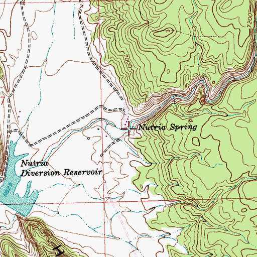 Topographic Map of Nutria Spring, NM