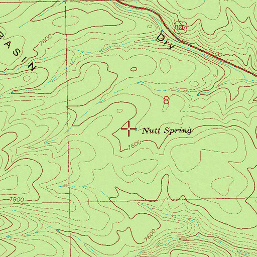 Topographic Map of Nutt Spring, NM
