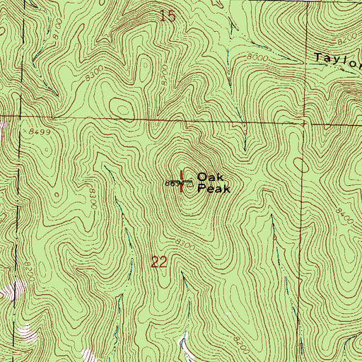 Topographic Map of Oak Peak, NM