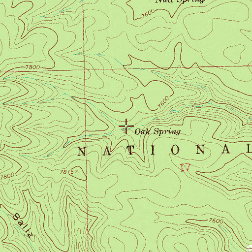 Topographic Map of Oak Spring, NM