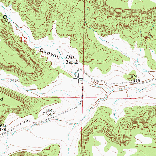 Topographic Map of Oat Canyon, NM