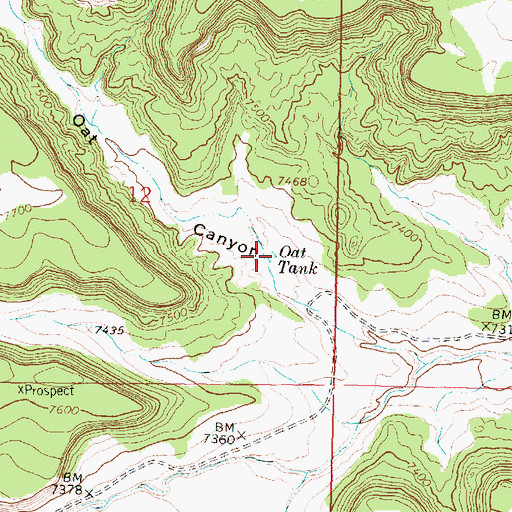 Topographic Map of Oat Tank, NM