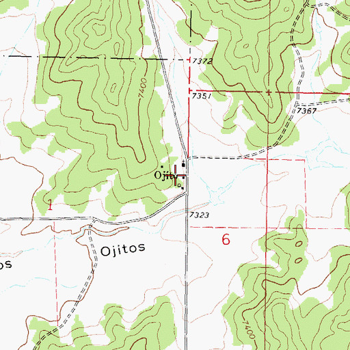Topographic Map of Ojito, NM